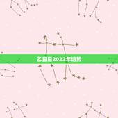 乙丑日2022年运势，2022年属鸡人的全年运势