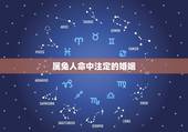 属兔人命中注定的婚姻，1987年属兔2022 年运势