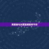 男属猪与女属鼠婚配好不好，属猪男和属鼠女在一起好吗？