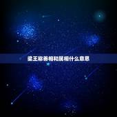 梁王称善相和属相什么意思，十二生肖对应的上古神兽是什么？具体说说