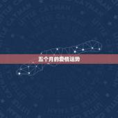 五个月的爱情运势，帮我算一下近期的运程：事业，爱情