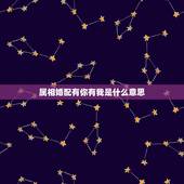 属相婚配有你有我是什么意思，属相婚配