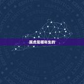 属虎是哪年生的，老虎是哪年出生的