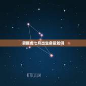 男属虎七月出生命运如何，农历七月出生的虎是什么命