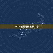 1978年属马的生辰八字，男属马1978年11月11号的人生辰八字