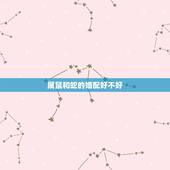 属鼠和蛇的婚配好不好，属蛇的最佳婚配是什么？属鼠的配吗