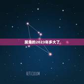 属兔的2023年多大了，属鸡今年多大