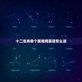 十二生肖各个属相用英语怎么说，十二生肖的英语单词