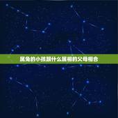 属兔的小孩跟什么属相的父母相合，属兔的适合生什么属相的孩子
