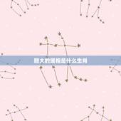 胆大的属相是什么生肖，胆大的动物是什么生肖