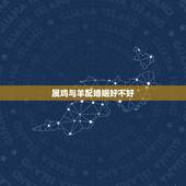 属鸡与羊配婚姻好不好，93年属鸡的姻缘在那年