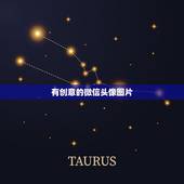 有创意的微信头像图片，有创意的微信头像图片女孩子可爱高冷