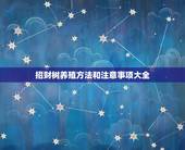 招财树养殖方法和注意事项大全，招财树的养殖方法