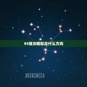 95猪女婚配应什么方向，1995年女猪和什么属相最配
