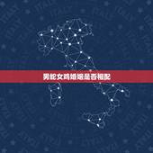 男蛇女鸡婚姻是否相配，男属蛇女属鸡配吗_蛇和鸡配吗