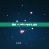 属虎2010年今年什么运势，1987年属兔的更佳配偶
