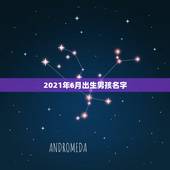 2021年6月出生男孩名字，2021年出生的男宝宝怎么取名字？