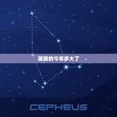 属猴的今年多大了，属猴的今年多大年龄表