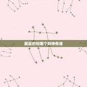 属鼠的和哪个财神有缘，12生肖婚姻匹配