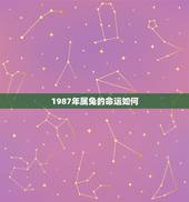 1987年属兔的命运如何，1987年属兔32岁后命运