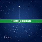1998是什么命属什么命，98年阴历九月出生的是什么命
