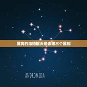 属狗的结婚那天忌讳哪三个属相，属狗男的和什么属相最配