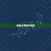 安徽大学电气学院，安徽大学电气信息类专业在什么校区