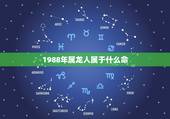 1988年属龙人属于什么命，1988年属龙女木命人什么星座啊