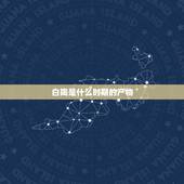 白陶是什么时期的产物，白陶是什么时期出现的？