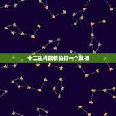 十二生肖最精的打一个属相，请问，十二生肖它最精，是什么生肖