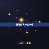 属马的人一生命运，1990属马闰5月人一生运势