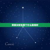 男猴女蛇生两个什么属相好，属蛇的男性与属猴的女性结婚生什么属相的孩子好