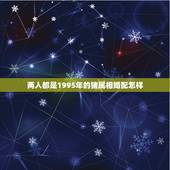 两人都是1995年的猪属相婚配怎样，95年属猪的和什么属相最配