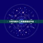 六月马和十二月兔属相合不合，属马的人和属兔的人在一起不好吗