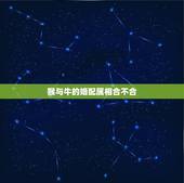 猴与牛的婚配属相合不合，牛和猴的属相合不合