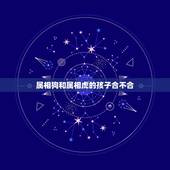 属相狗和属相虎的孩子合不合，属虎和属狗的财运是否付合