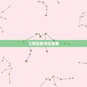 公司名称测试免费，免费公司名字测试