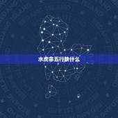 水虎命五行缺什么，属虎 五行缺什么？请高人指点，谢谢！