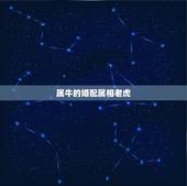 属牛的婚配属相老虎，属虎和属牛的相配吗