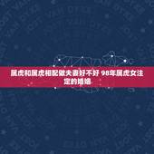 属虎和属虎相配做夫妻好不好 98年属虎女注定的婚姻