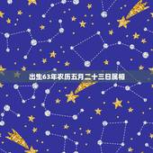 出生63年农历五月二十三日属相，属猪的几点出生有福气