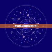 生肖猴与猴婚配好不好，属蛇和属猴的婚配好吗