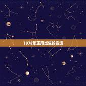 1978年正月出生的命运，1978年正月五曰出生的命格