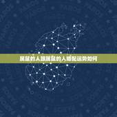 属鼠的人跟属鼠的人婚配运势如何，属鼠的人和属鼠的人结婚可以吗