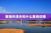 属猪的适合和什么属相结婚，属兔男和属龙女相配吗