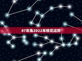 87年兔2022年桃花运势，属兔的在2022年的全年命运如何
