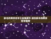 缺木的男孩名字大全集属牛 适合缺木的男孩名字推荐