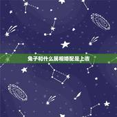 兔子和什么属相婚配是上吉，兔和什么生肖最配