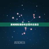 属相婚配是指年还是月还是日，属相婚配是以年月日中哪个属相