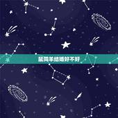 鼠同羊结婚好不好，男属鼠女属羊谁克谁
